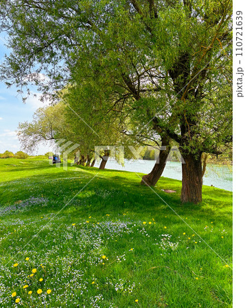 landscape with a green lawn, trees and a river landscape with a green lawn, trees and a river 110721639