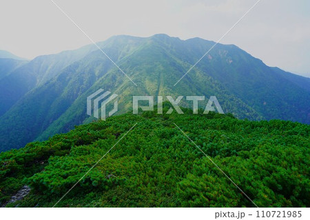 音更山稜線からの石狩岳への稜線 110721985