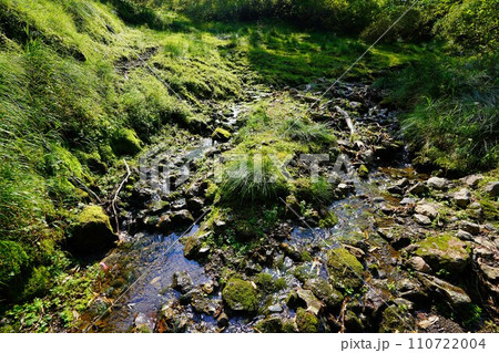 石狩岳稜線キャンプ指定地の水場の沢 110722004
