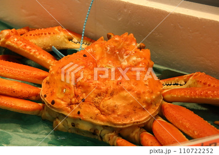 加能ガニ（近江町市場：石川県金沢市） 110722252