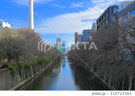東京都 目黒区 なかめ公園橋(ドラマ あなたがしてくれなくても ロケ地) 東京都 目黒区 なかめ公園橋(ドラマ あなたがしてくれなくても ロケ地) 110722561