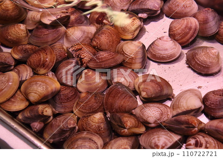 ハマグリ（近江町市場：石川県金沢市） 110722721