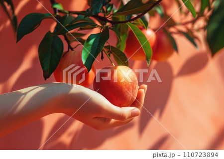 AI-generated content. Close-Up of a Hand Gently Picking a Ripe Peach From a Tree on a Sunny Day 110723894