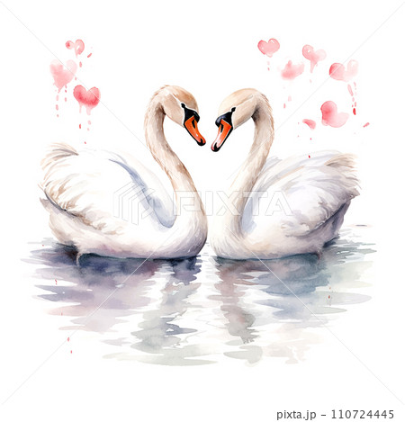 Valentine's Day Wedding White Swans watercolor vector 110724445