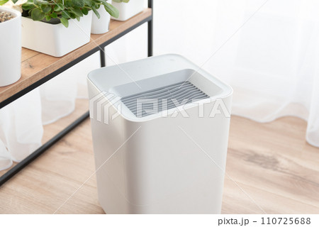 Modern air humidifier in living room Modern air humidifier in living room 110725688