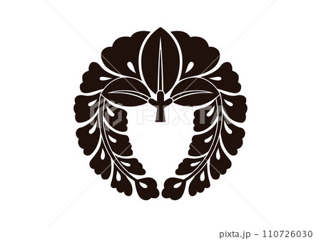 薬師寺下り藤 110726030