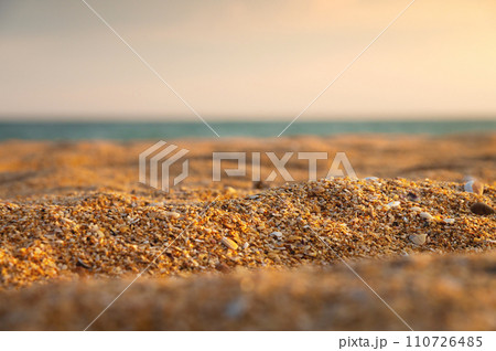 Close-up of shell golden sand in shallow depth of field with sea or ocean in the background at sunset. Marine background in warm colors 110726485