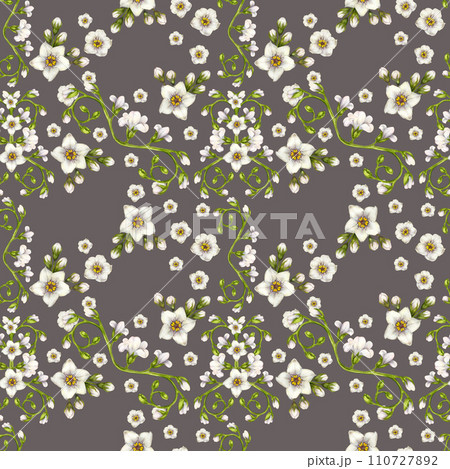Beautiful watercolor seamless pattern of white forget-me-not flowers for Easter, wedding, Mother's, Valentine's Day, birthday, spring and summer fabrics, clipart, stickers, wallpapers, templates Beautiful watercolor seamless pattern of white forget-me-not flowers for Easter, wedding, Mother's, Valentine's Day, birthday, spring and summer fabrics, clipart, stickers, wallpapers, templates 110727892