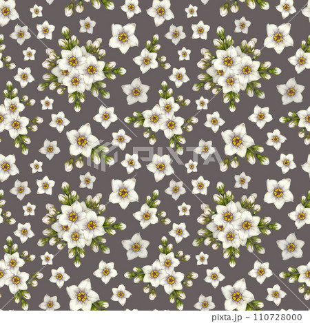 Beautiful watercolor seamless pattern of white forget-me-not flowers for Easter, wedding, Mother's, Valentine's Day, birthday, spring and summer fabrics, clipart, stickers, wallpapers, templates Beautiful watercolor seamless pattern of white forget-me-not flowers for Easter, wedding, Mother's, Valentine's Day, birthday, spring and summer fabrics, clipart, stickers, wallpapers, templates 110728000