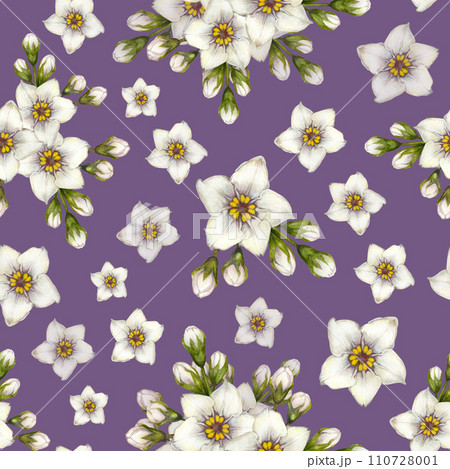 Beautiful watercolor seamless pattern of white forget-me-not flowers for Easter, wedding, Mother's, Valentine's Day, birthday, spring and summer fabrics, clipart, stickers, wallpapers, templates 110728001