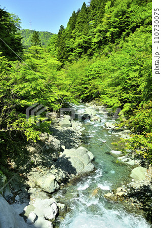 神奈川県道70号秦野清川線　塩水橋　新緑の塩水川 110730075