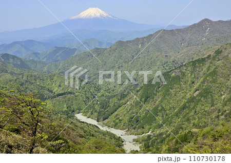 春の丹沢 日高より富士山と新緑の山地を望む 春の丹沢 日高より富士山と新緑の山地を望む 110730178