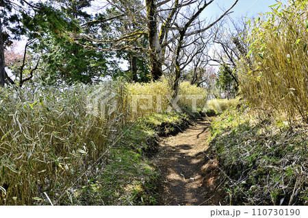 春の丹沢　丹沢主脈　竜ヶ馬場山頂 110730190