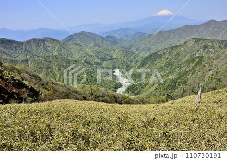 春の丹沢　丹沢主脈　竜ヶ馬場より富士山と新緑の山地 110730191