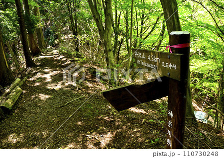 丹沢山地の丹沢山 天王寺尾根 天王寺峠 丹沢山地の丹沢山 天王寺尾根 天王寺峠 110730248