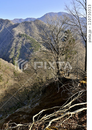 春の西丹沢 箒沢権現山より大室山 春の西丹沢 箒沢権現山より大室山 110730313