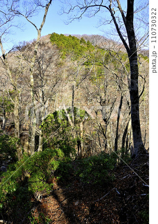 春の西丹沢 箒沢権現山北西ルートより畦ヶ丸 春の西丹沢 箒沢権現山北西ルートより畦ヶ丸 110730322