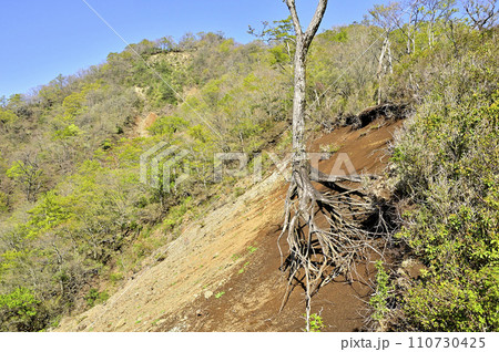 春の丹沢山地　日高東尾根のそり出し　寿岳より新緑の日高を望む 110730425