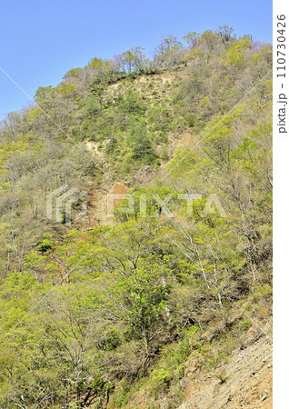 春の丹沢山地　日高東尾根のそり出し　寿岳より新緑の日高を望む 110730426