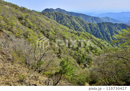 新緑の丹沢山地　日高東尾根より丹沢三峰を望む 110730427
