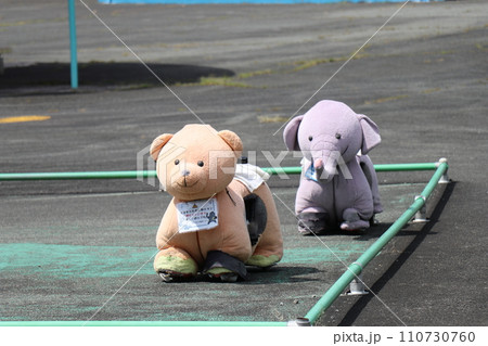 【山口県】秋吉台自然動物公園サファリランド、ふれあい広場 110730760