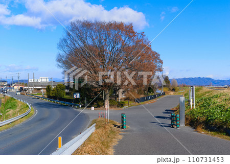 群馬県旧谷中村合同慰霊碑周辺2024年1月 110731453
