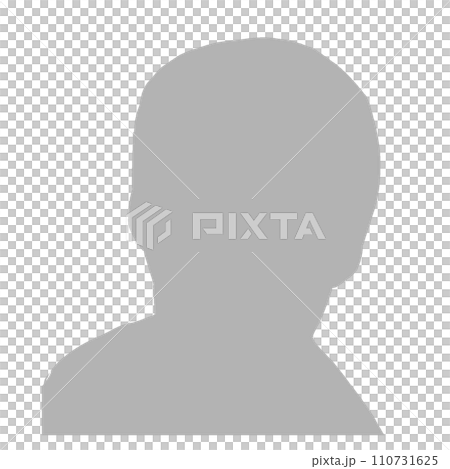 匿名の人物のシルエット リアル 灰色 匿名の人物のシルエット リアル 灰色 110731625