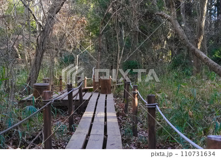 千葉県柏市こんぶくろ池周辺の風景2024年1月 千葉県柏市こんぶくろ池周辺の風景2024年1月 110731634