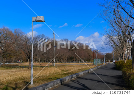 千葉県柏市東京大学柏キャンパス周辺2024年1月 千葉県柏市東京大学柏キャンパス周辺2024年1月 110731744