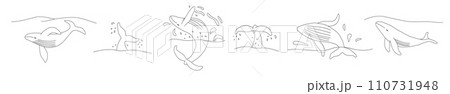 Set with whales, doodle style flat vector outline for coloring book 110731948