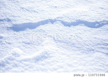 雪の造形　涼イメージ 110731986