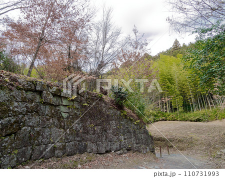 中津川市苗木城址 中津川市苗木城址 110731993