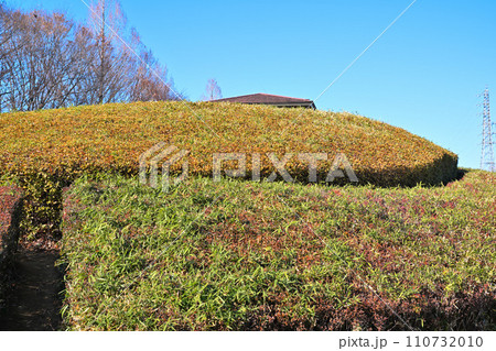 冬の花壇　冬景色　 110732010
