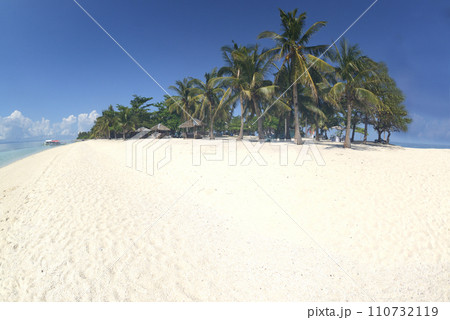 Beautiful white sand beach with palm trees on a sunny, hot, and clear day. 110732119