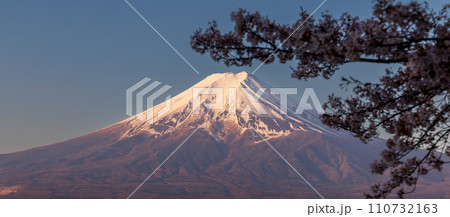 「山梨県」新倉山浅間公園から望む朝焼けに染まった富士山と桜 110732163