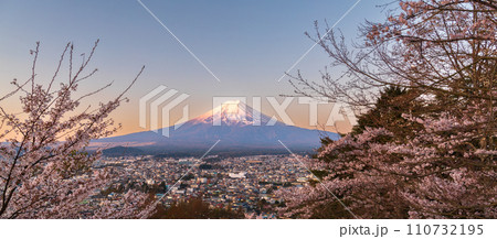 「山梨県」新倉山浅間公園から望む朝焼けに染まった富士山と桜 110732195