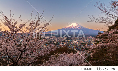 「山梨県」新倉山浅間公園から望む朝焼けに染まった富士山と桜 110732196