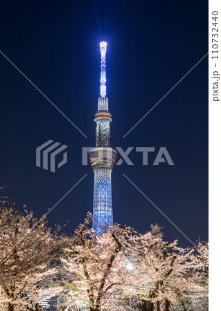 「東京都」隅田公園から眺める夜桜と東京スカイツリー 110732440