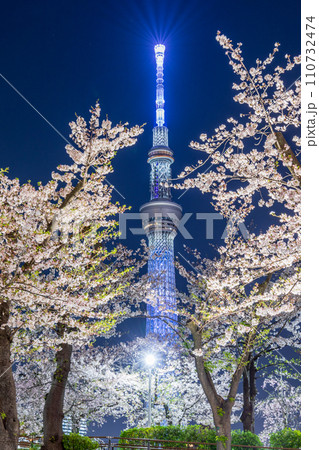 「東京都」隅田公園から眺める夜桜と東京スカイツリー 「東京都」隅田公園から眺める夜桜と東京スカイツリー 110732474