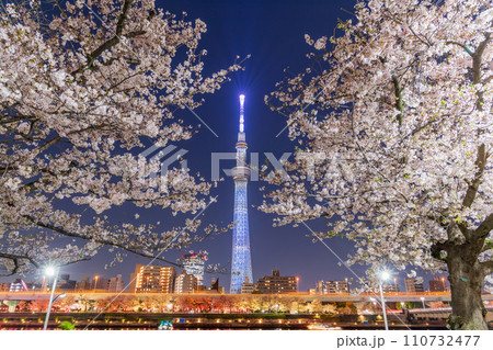 「東京都」隅田公園から眺める夜桜と東京スカイツリー 110732477