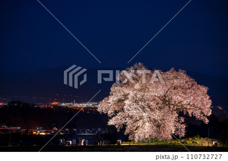 「山梨県」ライトアップしたわに塚の一本桜 「山梨県」ライトアップしたわに塚の一本桜 110732727