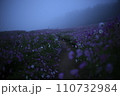 霧に包まれる花 110732984