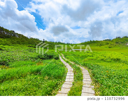 夏の火打山登山（下山：天狗の庭） 110732996
