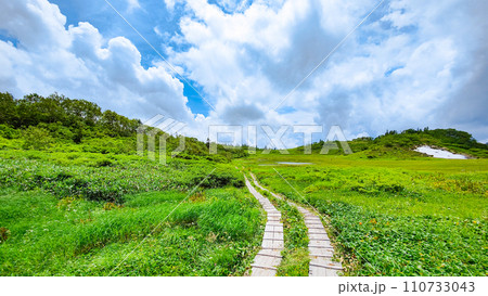 夏の火打山登山(下山:天狗の庭) 夏の火打山登山(下山:天狗の庭) 110733043