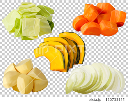 切蔬菜（高麗菜、胡蘿蔔、南瓜、馬鈴薯、洋蔥） 110733135