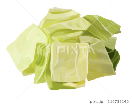 カット野菜（キャベツ） 110733149