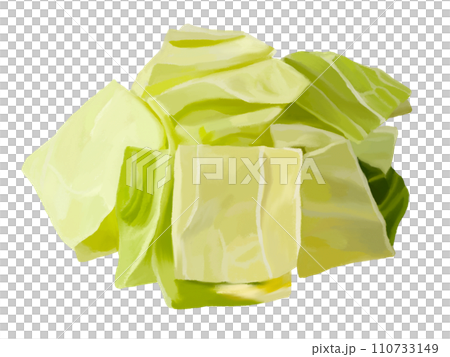 カット野菜（キャベツ） 110733149