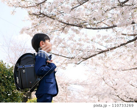 新一年生のランドセル姿と桜 新一年生のランドセル姿と桜 110733269