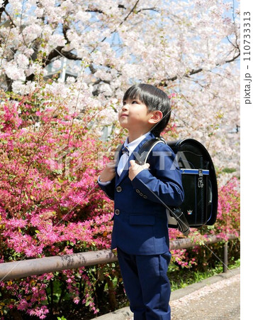 新一年生のランドセル姿と桜 新一年生のランドセル姿と桜 110733313