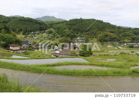 大阪府 能勢町 長谷の棚田 (大阪府) 大阪府 能勢町 長谷の棚田 (大阪府) 110733719